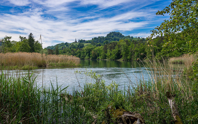 rhein fluss natuschutz rhein fluss natuschutz