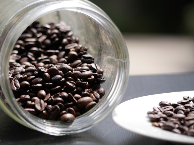 die-kaffeebohne-sitzt-in-den-fruechten-der-kaffeepf-sven-christian-schulz-utopia-190206_download Die Kaffeebohne sitzt in den Früchten der Kaffeepflanze.