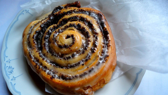 mohnschnecken-cc0-pixabay-mih83-200625 mohnschnecken