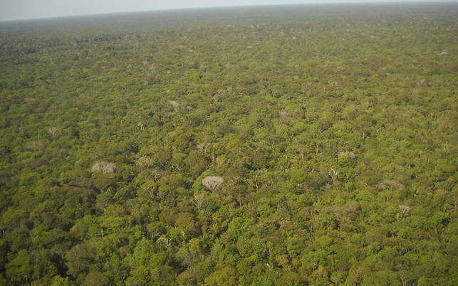 amazonas-brasilien-pb-cc0-Rosa-Maria-200522-1280x800
