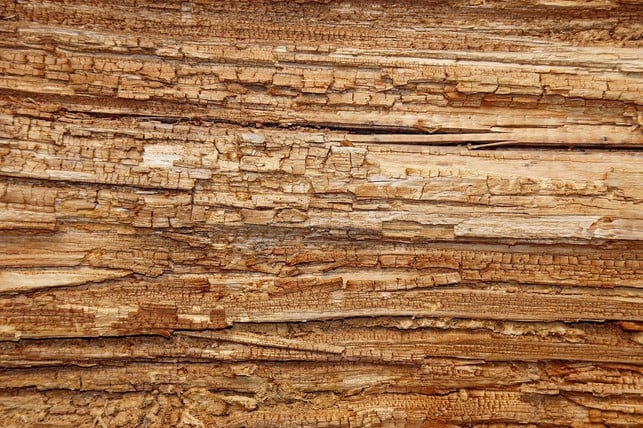 typisch-bei-pilzbefall-ist-die-wuerfelbruechigkeit-cc0-pixabay-georgschober-200412_download Holzschädlinge: Typisch bei Pilzbefall ist die Würfelbrüchigkeit.