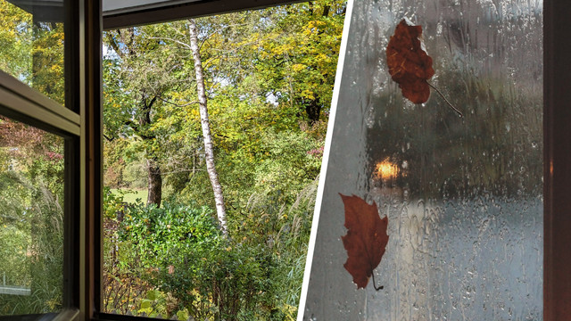 lueften-im-herbst-bw-p-IoanaMotoc-231027-1920x1209 Richtig lüften im Herbst: Darauf solltest du unbedingt achten