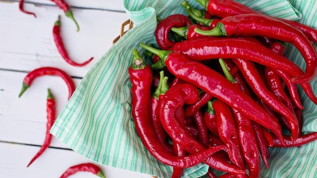 Peperoni pflanzen, pflegen und ernten im Garten oder auf dem Balkon