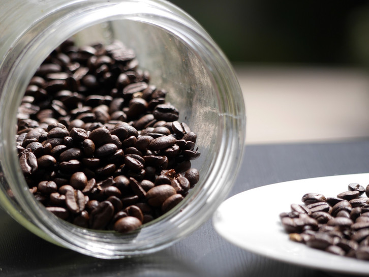 Kaffeepflanze: Was du zu Pflege, Schneiden und Umtopfen wissen musst -  Utopia.de