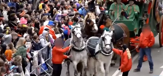 Karneval Fasching Karrnevalumzug Pferde Peta