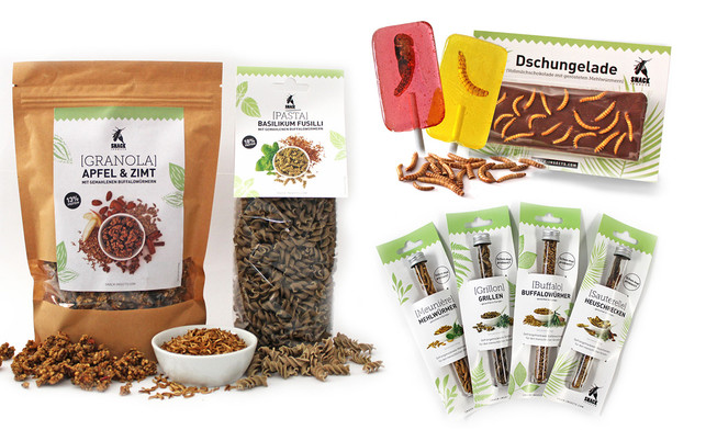 Essbare Insekten - Snack Insects Alternative zu Fleisch: Essbare Insekten - Snack Insects