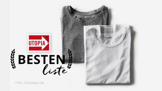 bestenliste-tshirts-tops-c-190108-1200x630 Bestenliste-Bio-Shirts