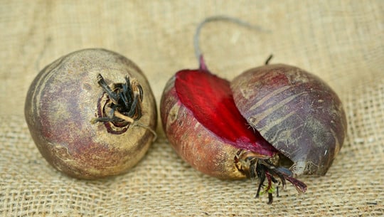 rote-bete-kochen-cc0-pixabay-congerdesign-180528 rote bete kochen