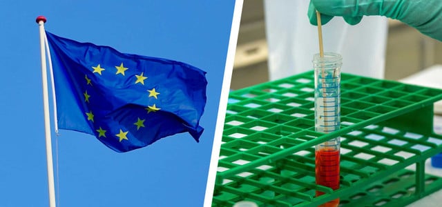 EU-Spitzenpolitiker:innen machen Bluttest - und finden dort Jahrhundertgift