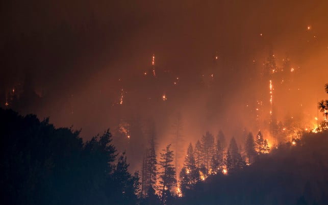 waldbrand-us-cc0-Matt-Howard-210219-1280x800 Waldbrand – Zerstörung