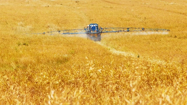 Phosphates are mainly used in agriculture.