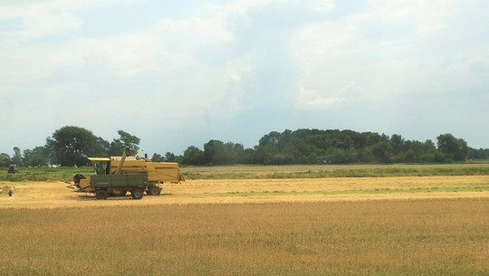 feld-bauer-monokultur-sven-christian-schulz-utopia-190116 Feld, Bauer, Monokultur