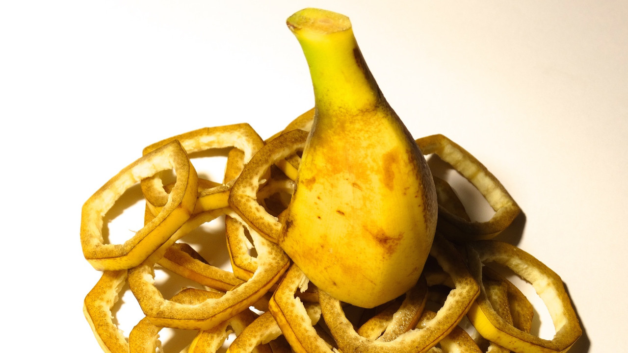 Bananenschale nicht wegwerfen: Diese Gartenblume kannst du damit dngen -  Utopia.de