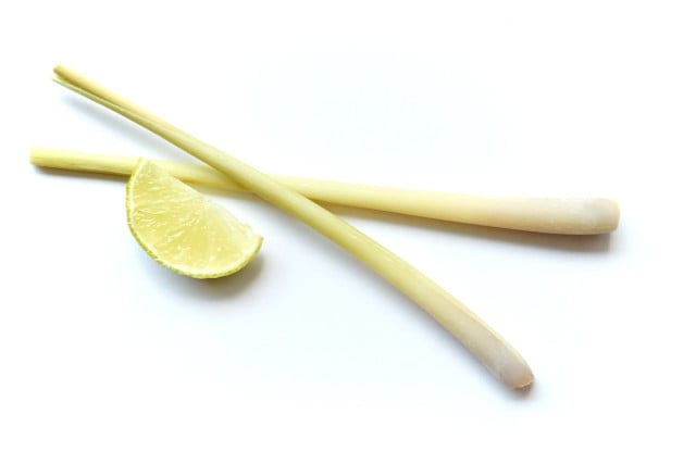 Zitronengras hat eine lange Tradition als Heilpflanze.