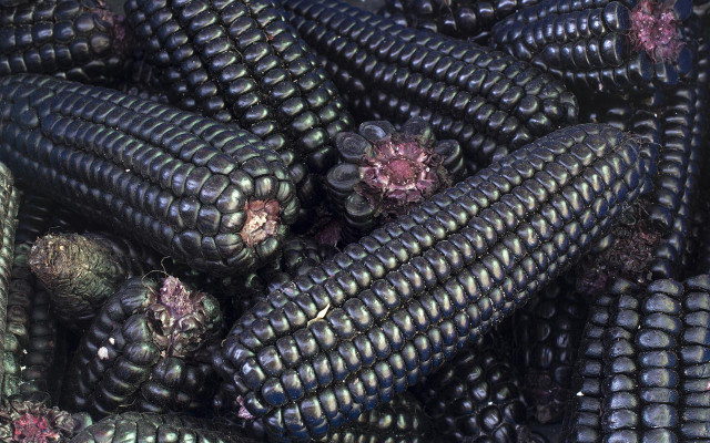 blackfood-mais-w-mirceadobre78-170329-1280x800 Black Food: Lila Mais