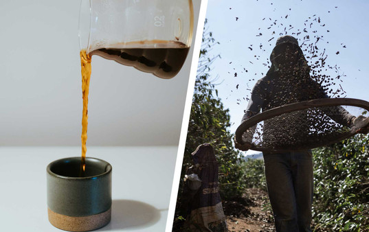 coffee filter coffee test