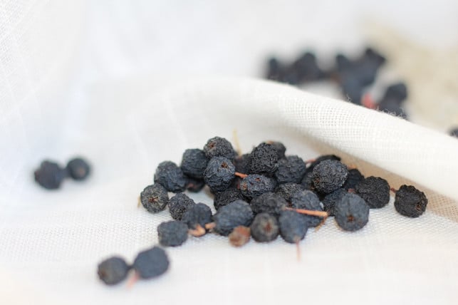 getrocknete-aroniabeeren-kannst-du-zum-beispiel-in-cc0-pixabay-vilinapetrova-230816_download Getrocknete Aroniabeeren kannst du zum Beispiel in dein Müsli geben.