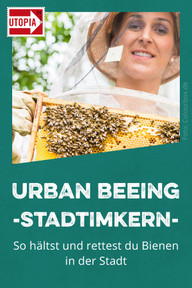 urban-beeing-stadtimker-c-190515 Bienen retten mit Urban Beeing & Stadtimkern?