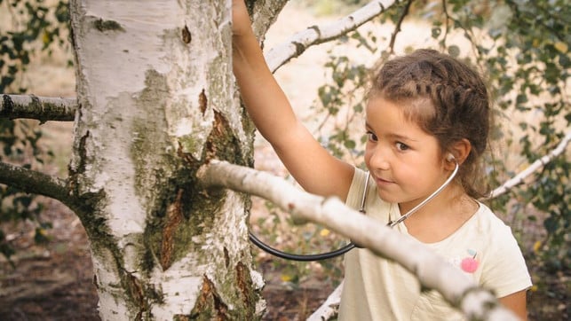 die-waldklasse-doku-zeigt-wie-inklusion-gelingen-johannes-kaczmarczykhermannfilmrbb-191117_download Die Waldklasse-Doku zeigt, wie Inklusion gelingen kann
