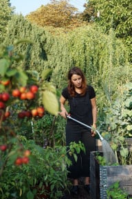 caro-geniesst-die-arbeit-in-ihrem-schrebergarten-foto-hauptstadtgartende-190111_download Caro genießt die Arbeit in ihrem Schrebergarten.