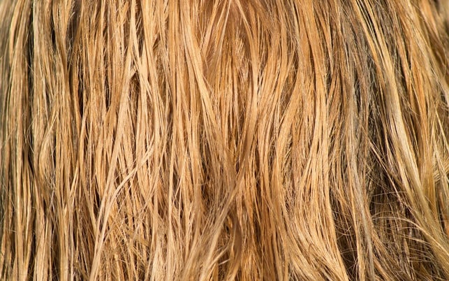 haare-schneidest-du-am-besten-wenn-sie-feucht-sin-cc0-pixabay-monsterkoi-180722 Haare schneidest du am besten, wenn sie feucht sind.