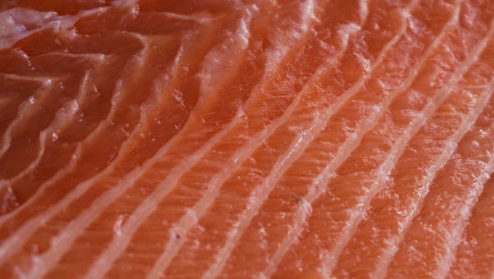 fisch-gift-greenpeace-pb-cc0-161214-1280x600 Greenpeace: Gift in Fisch aus Aquakultur