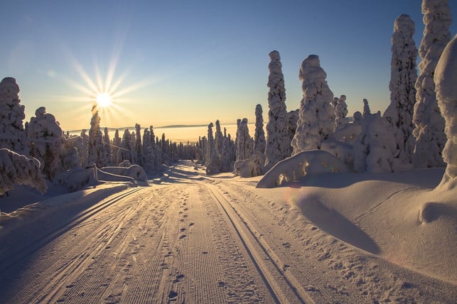 am-kalendarischen-winteranfang-steht-die-sonne-so-cc0-pixabay-adege-231128_download Am kalendarischen Winteranfang steht die Sonne so tief am Himmel wie das ganze Jahr nicht.