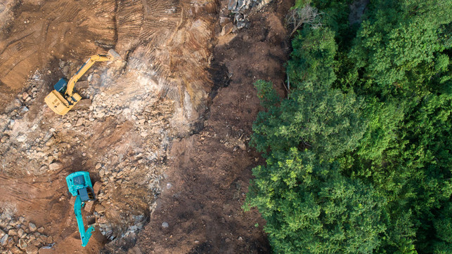 regenwald-zerstoerung-nestle-global-canopy-w-bannafarsai-200212-1280x720 Regenwald, Nestlé, McDonald's, Adidas, Amazon, Global Canopy