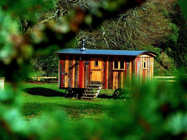 staycation-im-tiny-house-cc0-pixabay-winniec-200925_download Staycation in a tiny house?