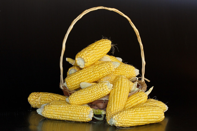 erntereifen-zuckermais-erkennst-du-an-den-eingetro-cc0-pixabay-stevepb-220612_download Erntereifen Zuckermais erkennst du an den eingetrockneten Narbenfäden.