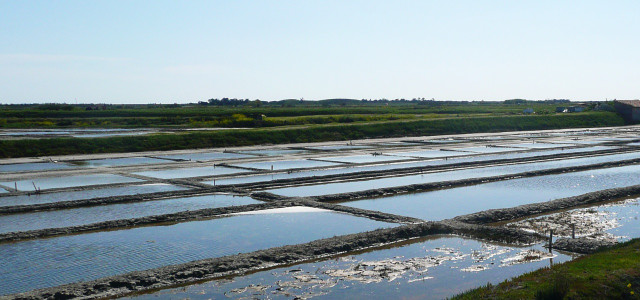 Meersalz / Fleur de Sel Saline: Farm für Fleur de Sel