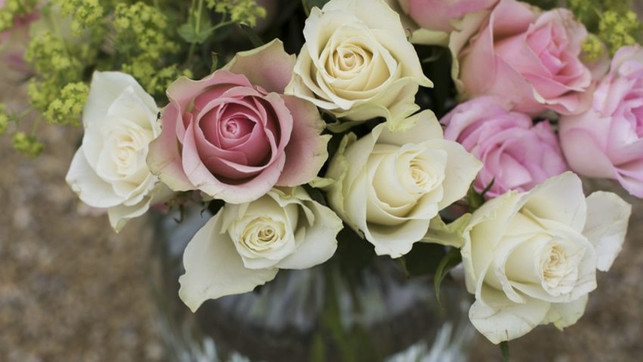 blumen-kaufen-pb-rosen-210205-1280x720 Blumen kaufen, fair, bio, Strauß Rosen in der Glasvase