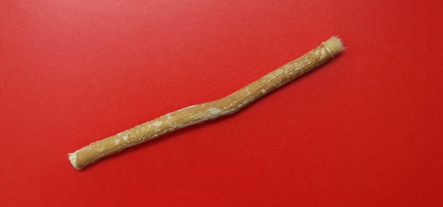 miswak zähneputzen zahnpflege miswak zähneputzen zahnpflege zahnbürste ohne plastik