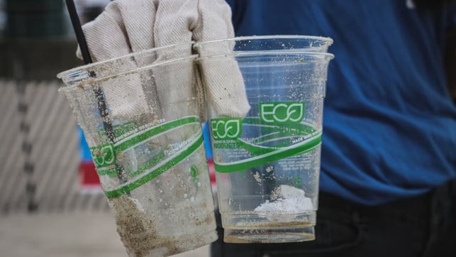 plastikbecher-eco-us-brian-yurasits-220705-1280x720-1 Eco-Plastikbecher: Wo öko draufsteht, steckt nicht immer öko drin.