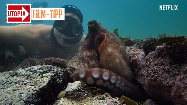 doku-tipp-my-octopus-teacher-netflix-screenshot-201113_download Doku-Tipp: „My Octopus Teacher“