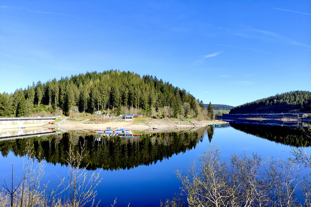 der-schluchsee-im-suedschwarzwald-ein-vom-menschen-utopia-johannes-renner-210819_download Der Schluchsee im Südschwarzwald: Ein vom Menschen geschaffener Stausee und bildet ein eigenes Ökosystem.