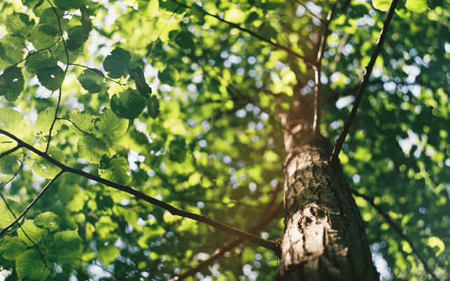 david-vig-qwHHOC2z5Xs-unsplash_GLS-BANK_1280x800px GLS Bank Netzwerk Werte Gemeinschaft