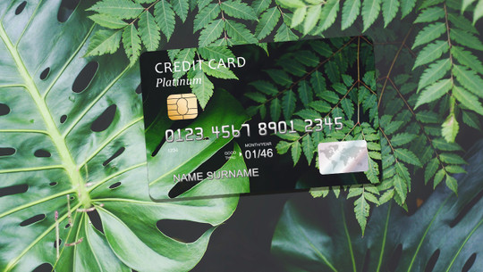 Grüne Kreditkarte Grüne Kreditkarte