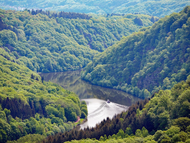 stabiles-waldgebiet-cc0-pixabay-hpgruesen-181122_download Stabiles Waldgebiet