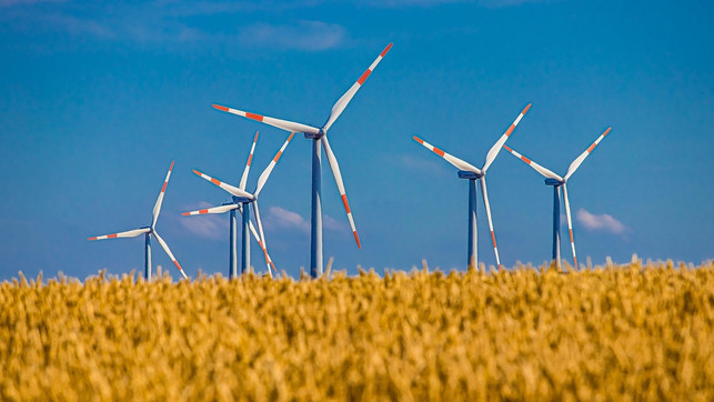 anders-als-windkraft-ist-erneuerbare-energie-auf-b-cc0-pixabay-al3xanderd-230407_download Anders als Windkraft ist Erneuerbare Energie auf Basis von Energiepflanzen nicht abhängig vom Wetter.
