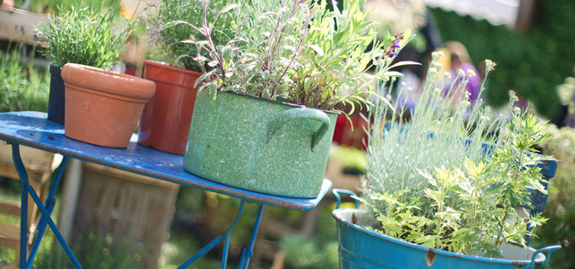 biogarten-v-morningside-160607-1280x600 Naturgarten, Biogarten