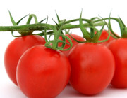 Tomaten sollten nicht im Kühlschrank gelagert werden