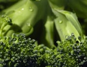 brokkoli gesund