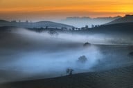 sencha-tee-wird-ueberwiegend-in-japan-und-china-ang-cc0-pixabay-quangpraha-190331_download Sencha-Tee wird überwiegend in Japan und China angebaut.