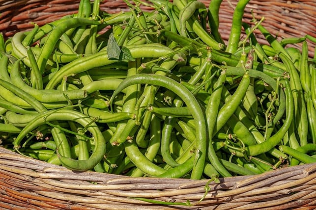 gesunde-naehrwerte-stecken-in-den-gruenen-bohnen-cc0-pixabay-couleur-201122_download Gesunde Nährwerte stecken in grünen Bohnen.