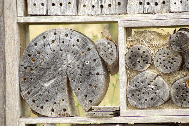 wenn-du-dein-insektenhotel-reinigen-willst-dann-v-cc0--pixabay--marzena7-250909_download Wenn du dein Insektenhotel reinigen willst, dann verwende nur Wasser und warte den richtigen Zeitpunkt ab.