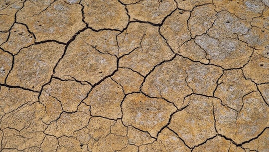 bodenversalzung-cc0-pixabay-jplenio-210908 bodenversalzung