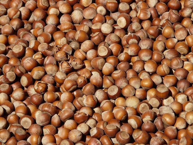 achte-beim-kauf-von-haselnuessen-fuer-den-haselnussk-cc0-pixabay-hans-191023_download Achte beim Kauf von Haselnüssen für den Haselnusskuchen am besten auf regionale Bio-Produkte.