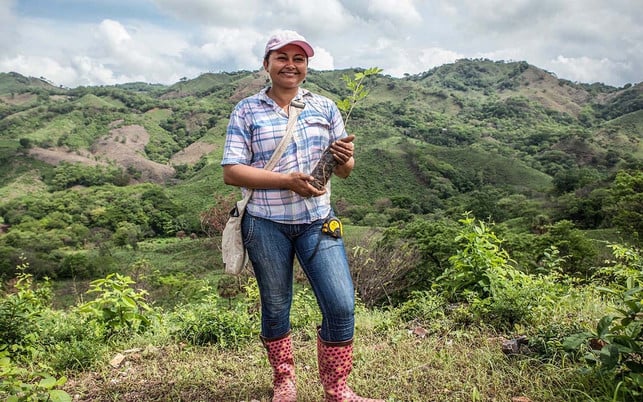 Farmerin in Nicaragua Wald schützen mit PrimaKlima