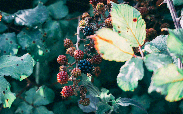 Headerbild-Oekotest_001_640x400